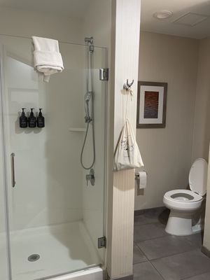 Hotel Indigo Frisco by IHG by null