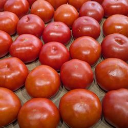 Cherry Lawn Farm Market - Tomatoes looking pretty