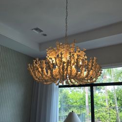 JT Electric Specialists