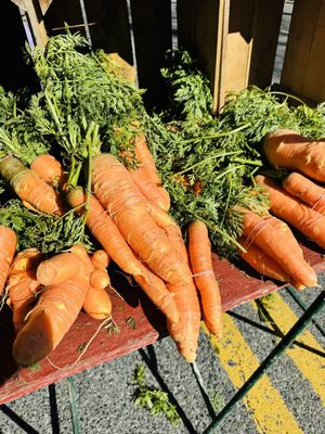 FRESHFARM Downtown Silver Spring Market by null