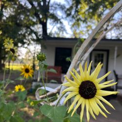 Saline Creek Farm Bed and Breakfast