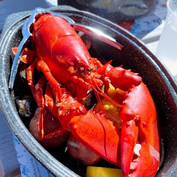Stewman's Lobster Pound - Lobster - Seafood Near Me - Bar Harbor, Maine Stewman's Lobster Pound - Lobster - Seafood Near Me - Bar Harbor, Maine