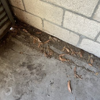Public Storage - Nesting and organic debris - Self Storage Near Me - Laguna Hills, California Public Storage - Nesting and organic debris - Self Storage Near Me - Laguna Hills, California