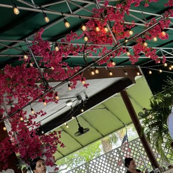 Bulegreen Cafe Yard - Interior - Cafes Near Me - Oakland Park, Florida Bulegreen Cafe Yard - Interior - Cafes Near Me - Oakland Park, Florida