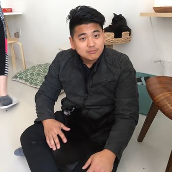 KitTea - Pet Adoption Near Me - San Francisco, California
