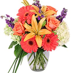Flower Cottage Florists 830 Idaho St Ordway Co Phone