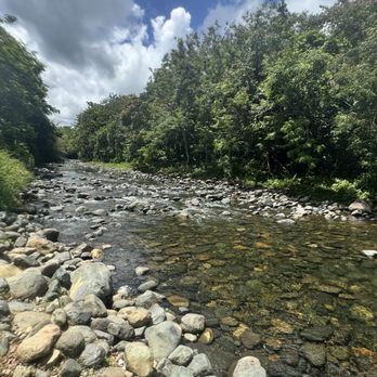 Carabali Rainforest Park - During ride - Horseback Riding Near Me - Luquillo, Puerto Rico Carabali Rainforest Park - During ride - Horseback Riding Near Me - Luquillo, Puerto Rico