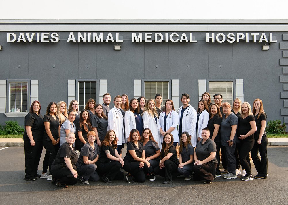 DAVIES ANIMAL MEDICAL HOSPITAL 57 Photos & 94 Reviews 1630 Sierra