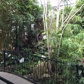 Centennial Park Conservatory - Parks Near Me - Toronto, Ontario