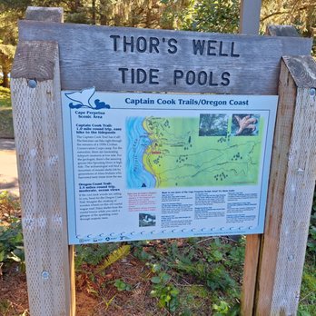 Cape Perpetua Visitor Center - Visitor Centers Near Me - Yachats, Oregon Cape Perpetua Visitor Center - Visitor Centers Near Me - Yachats, Oregon