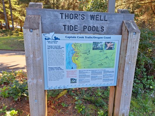 Cape Perpetua Visitor Center - Siuslaw National Forest by null
