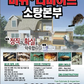 Eastern Termite & Pest Control - Korean - Pest Control Near Me - Los Angeles, California Eastern Termite & Pest Control - Korean - Pest Control Near Me - Los Angeles, California