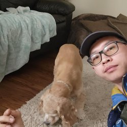 Johnny's Pet Care Service - I am dog lover