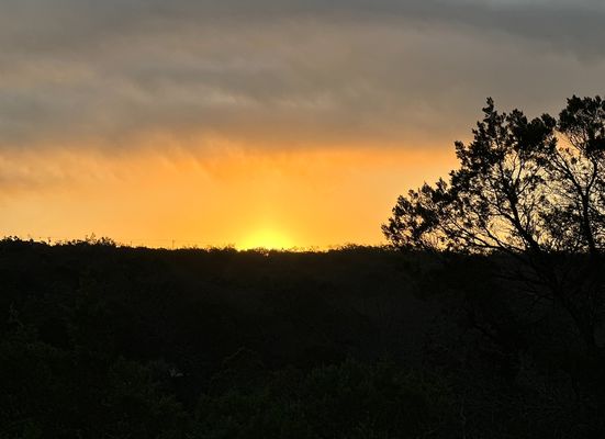 Sinya On Lone Man Creek by null