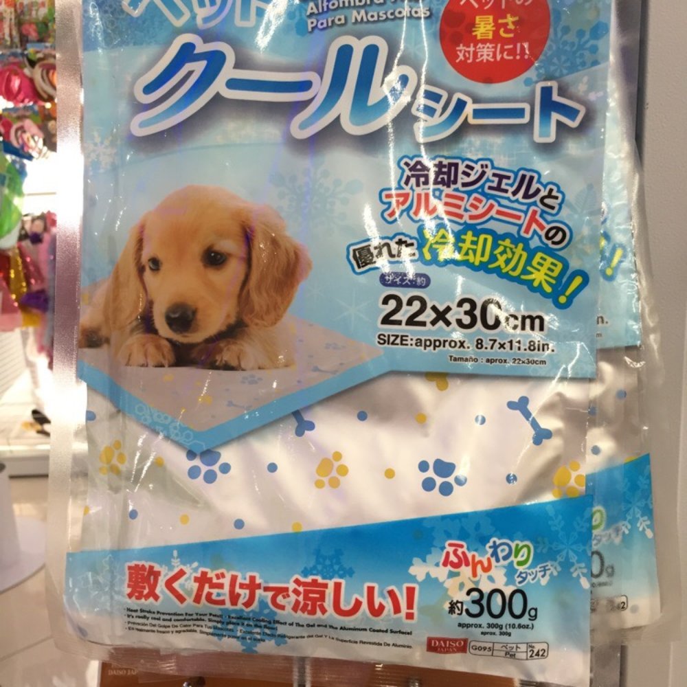 Daiso - Pet supplies - Discount Store Near Me - Torrance, California Daiso - Pet supplies - Discount Store Near Me - Torrance, California