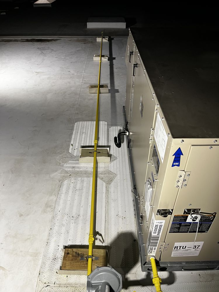 Slide of Arkansas Rooter