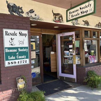Humane Society of Lake County - Always new stuff! - Community Service/Non-Profit Near Me - Eustis, Florida Humane Society of Lake County - Always new stuff! - Community Service/Non-Profit Near Me - Eustis, Florida
