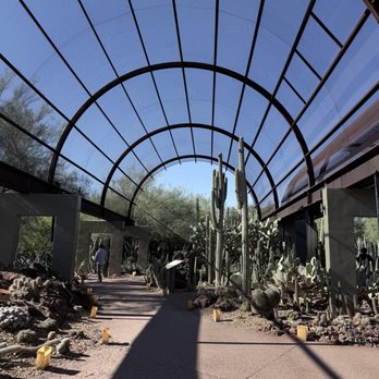 Desert Botanical Garden - Botanical Gardens Near Me - Phoenix, Arizona