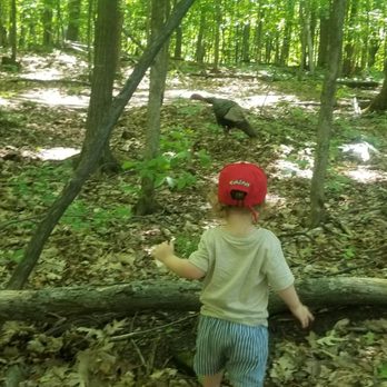 Beaver & Chipmunk Trails - Hiking Near Me - Ottawa, Ontario Beaver & Chipmunk Trails - Hiking Near Me - Ottawa, Ontario
