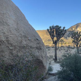 Hall of Horrors - Landmarks & Historical Buildings Near Me - Joshua Tree, California