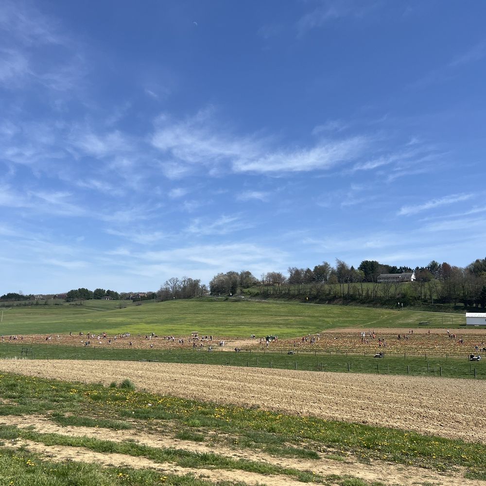 Local Homestead Products - Farmers Market Near Me - New Windsor, Maryland
