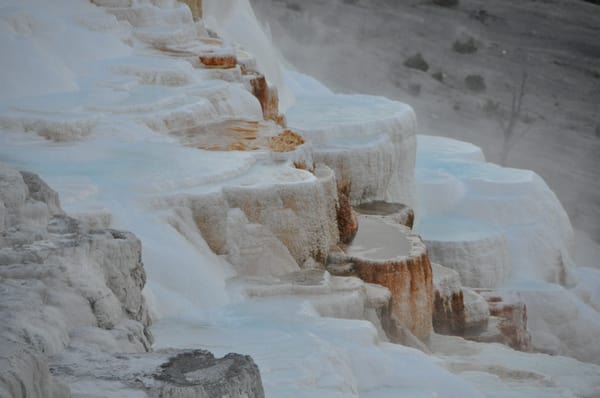 Mammoth Hot Springs by null