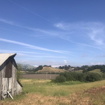 Kynsi Winery - Wineries Near Me - Arroyo Grande, California