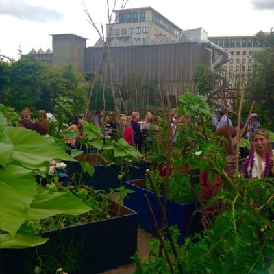 Queen Elizabeth Hall Roof Garden by null