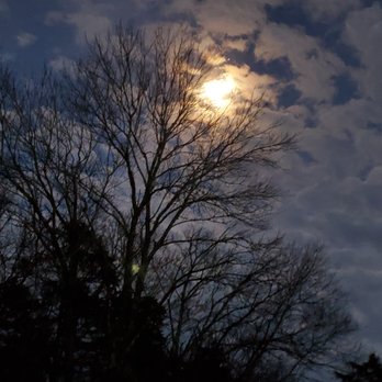 Harris Custom Built Cabinets - As the moon shines bright on a cool Bethpage night, Beautiful! - Cabinetry Near Me - Bethpage, Tennessee Harris Custom Built Cabinets - As the moon shines bright on a cool Bethpage night, Beautiful! - Cabinetry Near Me - Bethpage, Tennessee