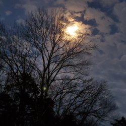 Harris Custom Built Cabinets - As the moon shines bright on a cool Bethpage night, Beautiful!
