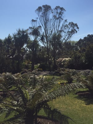 Logan Botanic Garden by null