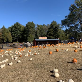 Montpelier Farms - Pumpkin patch. - Pumpkin Patches Near Me - Upper Marlboro, Maryland Montpelier Farms - Pumpkin patch. - Pumpkin Patches Near Me - Upper Marlboro, Maryland