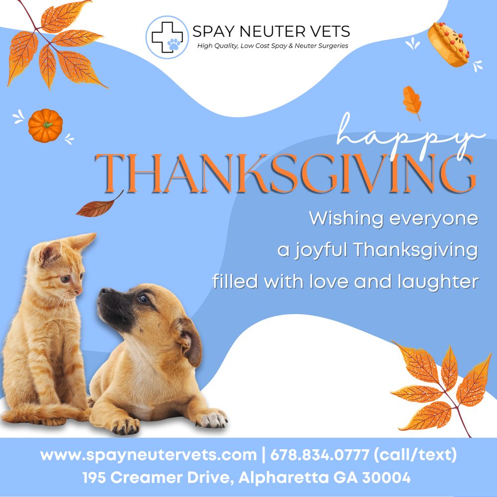 Spay Neuter Vets