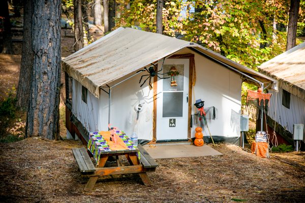 Inn Town Campground by null