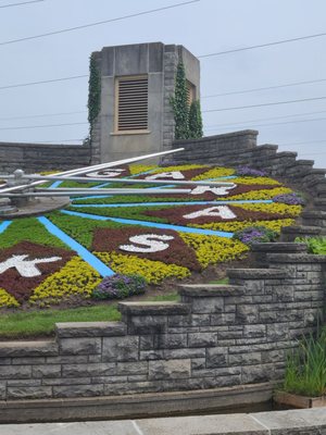 Floral Clock by null