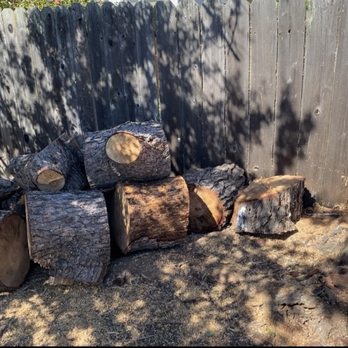 Urban Tree Care - Tree Services Near Me