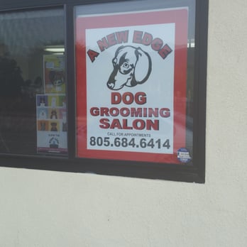 A New Edge Dog Salon - Pet Groomers Near Me - Carpinteria, California A New Edge Dog Salon - Pet Groomers Near Me - Carpinteria, California