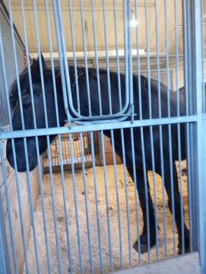 Canada Agriculture and Food Museum by null