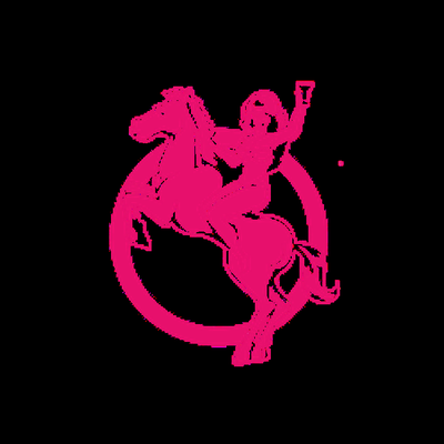 Pink Pony by null
