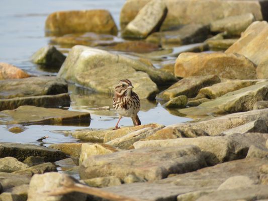 Wellesley Island State Park by null
