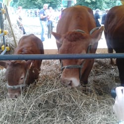 Expo Rurale