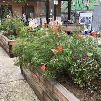 Hauser & Wirth - The community garden - Art Galleries Near Me - Los Angeles, California