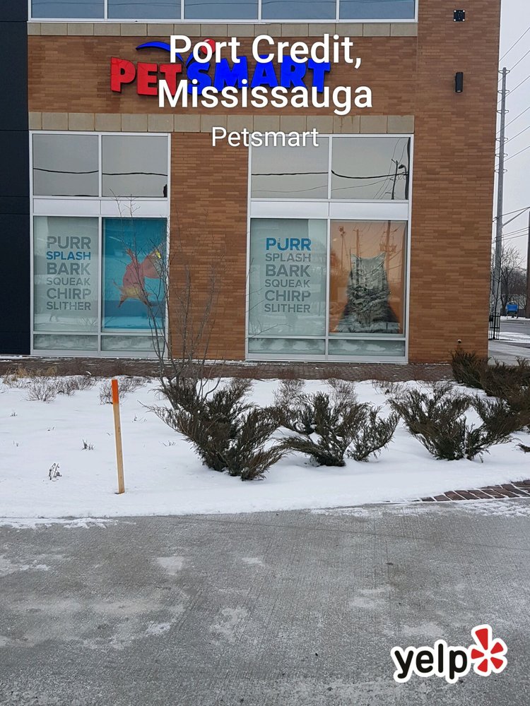 PETSMART Updated September 2024 507 Lakeshore Rd E, Mississauga