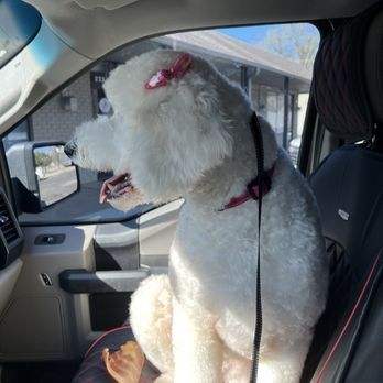 Muddy Paws - Pet Groomers Near Me - Tulsa, Oklahoma Muddy Paws - Pet Groomers Near Me - Tulsa, Oklahoma