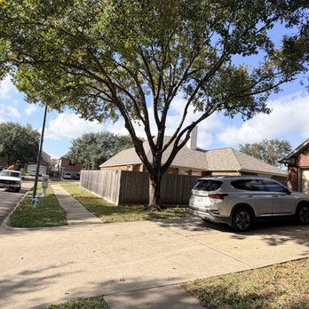 MDJA Tree Service and Landscaping - Tree trimming - Tree Services Near Me - Katy, Texas MDJA Tree Service and Landscaping - Tree trimming - Tree Services Near Me - Katy, Texas