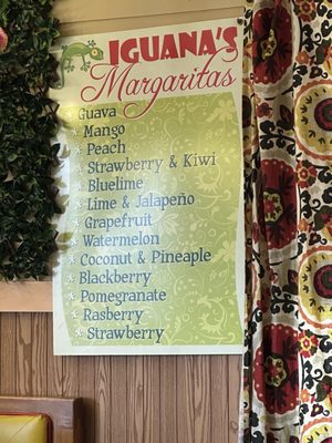 Menu photo 1 Iguana's Mexican Restaurant Plainfield, IN