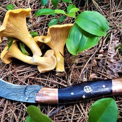 Forest To Fork - Wild MN Chanterelles with our signature Foraging Knife