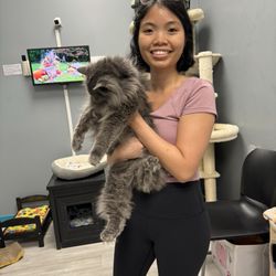 Kitty Queen Cat Rescue