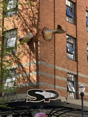 Around Portland Tours by null