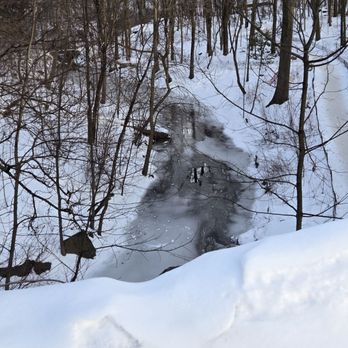 Central Park Conservancy - Parks Near Me - New York, New York Central Park Conservancy - Parks Near Me - New York, New York